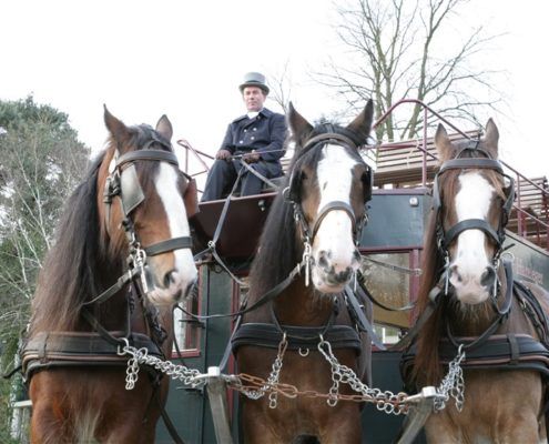 Paardentram tijdens een leuk personeelsuitje in Gelderland