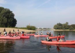 Kanovaren tijdens een bedrijfsuitje in Gelderland