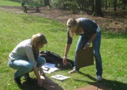 Tangram tijdens een training