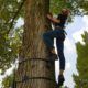 Monkey Tree Climbing tijdens een personeelsuitje in Gelderland